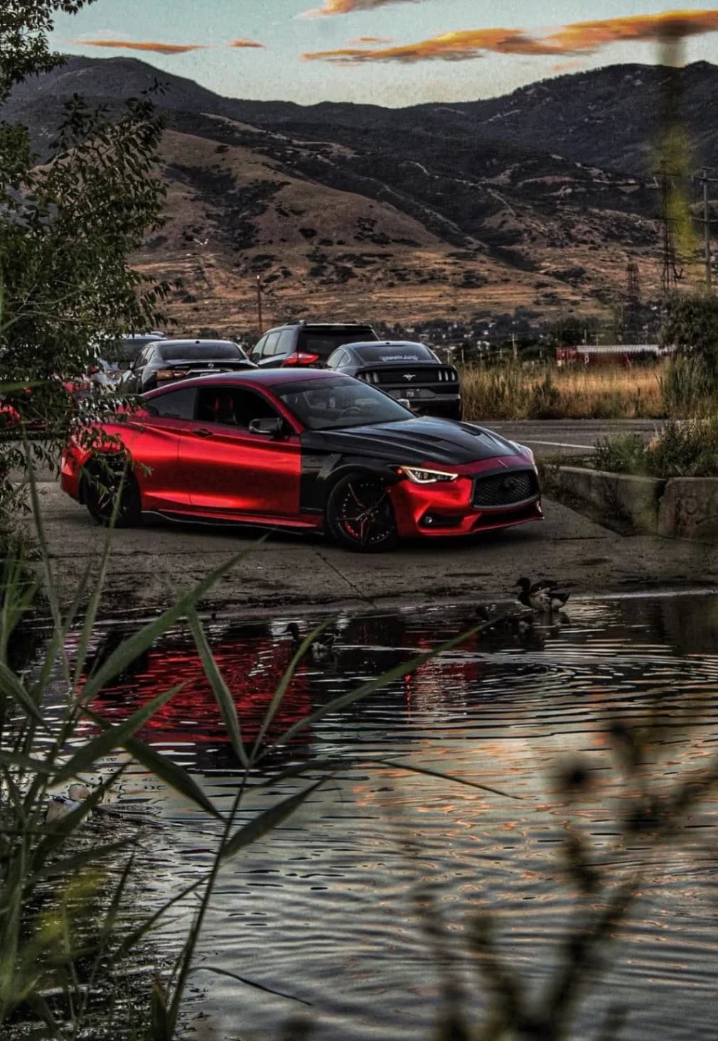 2017 Infiniti Q60 - Temu_Skyline's Garage Temu_Skyline's custom 2017 Infiniti Q60 build at CarCultureHQ